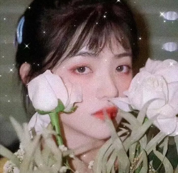 镜花缘之决战女儿国